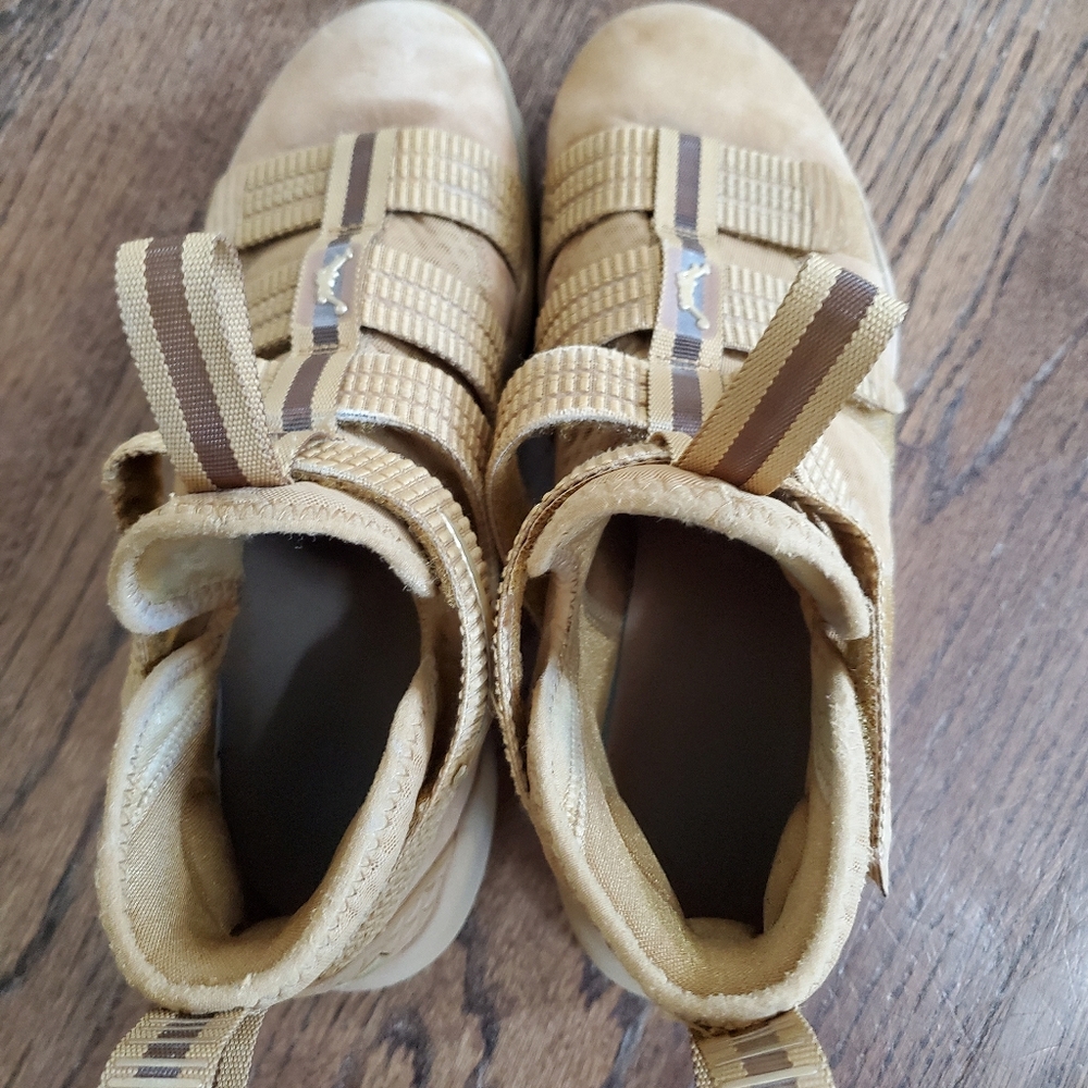 Nike LeBron Zoom Soldier